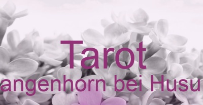 Tarot Langenhorn bei Husum | Top-Experten für Kartenlegen, Wahrsagen, Hellsehen, Zukunftsdeutung. Tarot Langenhorn bei Husum | Top-Experten für Kartenlegen, Wahrsagen, Hellsehen, Zukunftsdeutung.